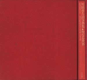「聖なる世界 / 著：川田喜久治　文：澁澤龍彦」画像4