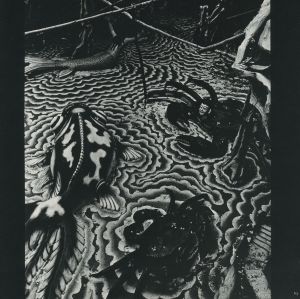 「聖なる世界 / 著：川田喜久治　文：澁澤龍彦」画像10