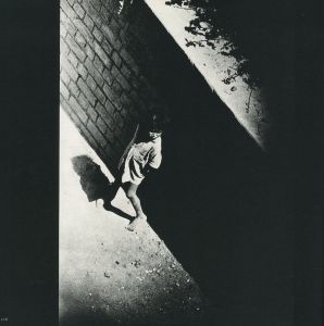 「聖なる世界 / 著：川田喜久治　文：澁澤龍彦」画像18