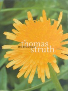 Dandelion Room／トーマス・シュトルート／(Dandelion Room / Thomas Struth)のサムネール