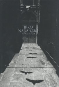 手のなかの空  奈良原一高  1954-2004／写真：奈良原一高　編：蔦谷典子／(IKKO NARAHARA The Sky in my Hands / Photo: Ikko Narahara　Edit: Noriko Tsutatani)のサムネール