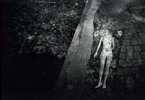 「NOVEMBRE DAIDO MORIYAMA × NAOKI TAKIZAWA / 著：森山大道、滝沢直己」画像8