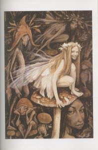 「フェアリー / 著：ブライアン・フラウド　アラン・リー」画像1