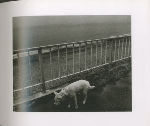 「SWEET HOME YOKOSUKA 1976-1980 / Photo: Miyako Ishiuchi　Design: Andrew Roth」画像4