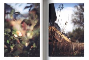 「As the Crow Flies / Terri Weifenbach, William Wylie」画像1