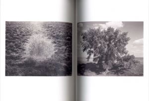 「As the Crow Flies / Terri Weifenbach, William Wylie」画像3