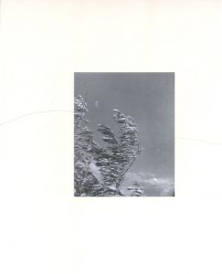 「THE THINGS THAT ANIMALS CARE ABOUT, AND / John Gossage」画像4