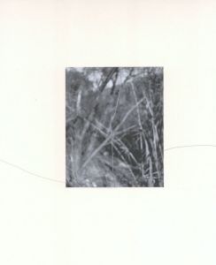 「THE THINGS THAT ANIMALS CARE ABOUT, AND / John Gossage」画像6