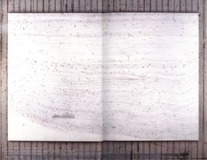 「Heidi & The Pack / Tom Sachs」画像8