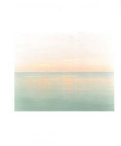 「生きている / 佐内正史」画像5