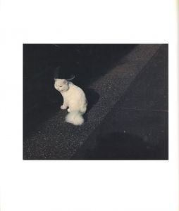 「生きている / 佐内正史」画像6