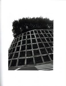 「Ehime / ゲリー・ヨハンソン」画像3