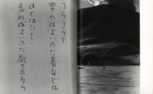 「来ればよいのだ春などは / 著：大石芳野」画像8