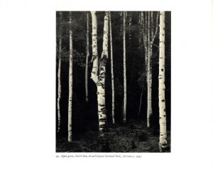 「Photographs of the Southwest / Ansel Adams」画像6
