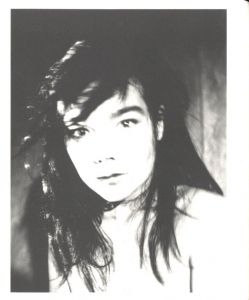 「Bjork / 写真：ユルゲン・テラー、ニック・ナイト、荒木経惟 ほか」画像3