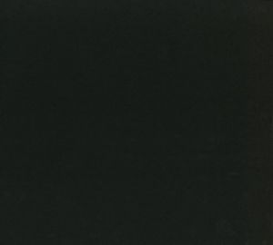 「Actor シミズイサム / 森山大道」画像2