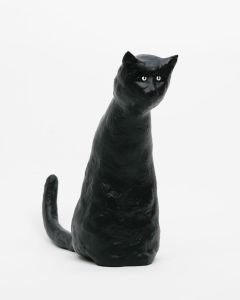 The Cat／菅谷晋一／(The Cat / Shinichi Sugaya)のサムネール