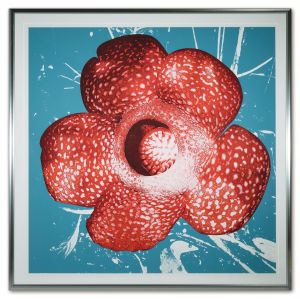 Daido MORIYAMA "Rafflesia (R-red)"／森山大道／(Daido MORIYAMA "Rafflesia (R-red)" / Daido Moriyama)のサムネール