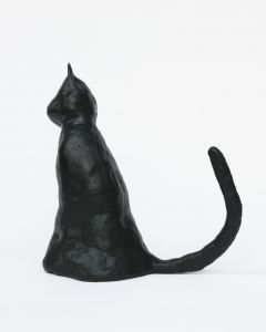「The Cat / 菅谷晋一」画像1
