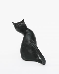The Cat／菅谷晋一／(The Cat / Shinichi Sugaya)のサムネール