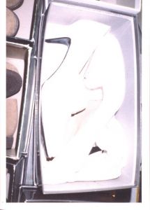 「 COMING UP FOR AIR / スティーブン・ギル」画像3
