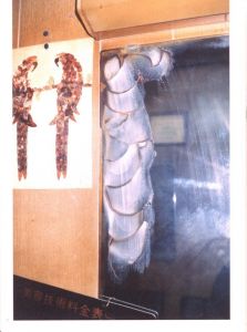 「 COMING UP FOR AIR / スティーブン・ギル」画像8