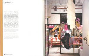 「ALTERNATIVE HISTORIES NEW YORK ART SPACES 1960 TO 2010 / Edit: Lauren Rosati, Mary Anne Staniszewski」画像4