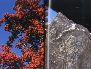 「Documentary / 中平卓馬」画像7