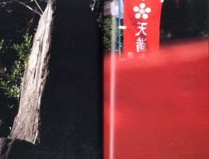 「Documentary / 中平卓馬」画像8