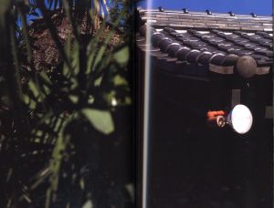 「Documentary / 中平卓馬」画像10