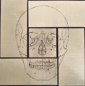 TATAMI BURN MARKS　SKULL／丸岡和吾／(TATAMI BURN MARKS　SKULL / Kazumichi Maruoka)のサムネール