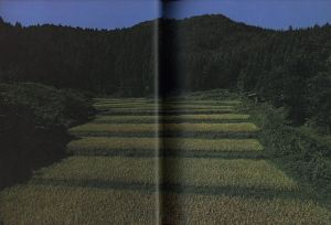 「篠山紀信　晴れた日 / 篠山紀信」画像8