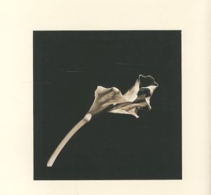 「ROBERT MAPPLETHORPE　PATTI SMITH / Photo: Robert Mapplethorpe　Poem: Patti Smith　Foreword: Yukio Mishima 」画像1