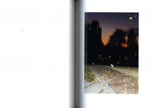 「TOKYO PARROTS / 水谷吉法」画像8