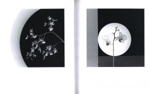 「La mirada de Almodovar / Almodovar's Gaze / Robert Mapplethorpe」画像1