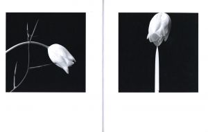 「La mirada de Almodovar / Almodovar's Gaze / Robert Mapplethorpe」画像3