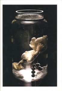 「LE DICTATEUR #1 / Edit: Federico Pepe」画像6