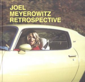 JOEL MEYEROWITZ RETROSPECTIVEのサムネール