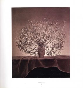 「PISTILS / Robert Mapplethorpe」画像4