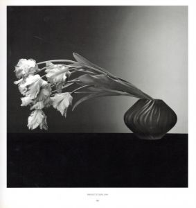 「PISTILS / Robert Mapplethorpe」画像5