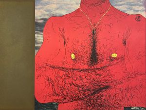 「新輯版　薔薇刑 / 被写体・題簽・序文：三島由紀夫　写真：細江英公　装幀・挿画：横尾忠則」画像12