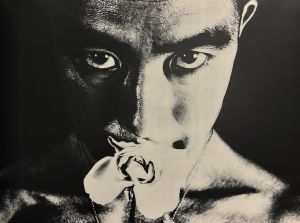 「新輯版　薔薇刑 / 被写体・題簽・序文：三島由紀夫　写真：細江英公　装幀・挿画：横尾忠則」画像14