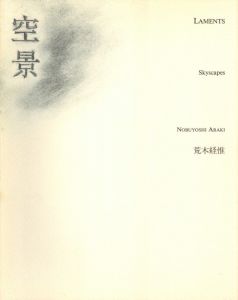 「空景 / 近景 / 著：荒木経惟　文：吉増剛造　デザイン：駒形克己」画像1