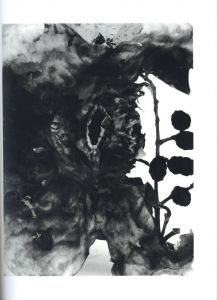 「空景 / 近景 / 著：荒木経惟　文：吉増剛造　デザイン：駒形克己」画像11