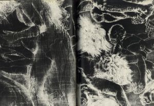 「死の灰　細江英公人間写真集 / 細江英公」画像2