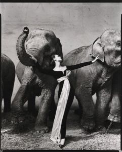 「Richard Avedon Wandbilder und Porträts / Richard Avedon」画像1