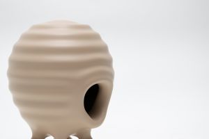 「Dwelling B / Kim Laughton」画像1