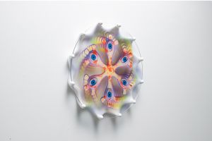 「Vision C / Kim Laughton」画像1