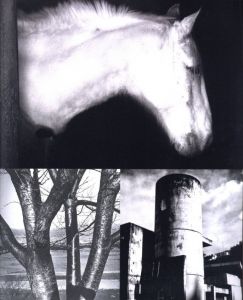 「A Diary　Hasselblad Award 2019 / Daido Moriyama」画像2