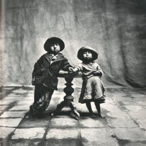 「Worlds in a Small Room / Irving Penn　」画像1